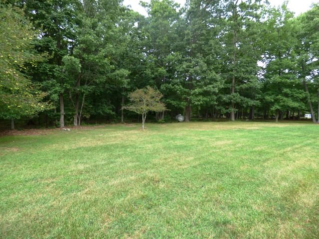 3699 Cold Springs Road Greenville, VA 24440 - Photo 47 of 50 Gallery Image 47