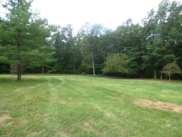 3699 Cold Springs Road Greenville, VA 24440 - Photo 50 of 50 Gallery Image 50