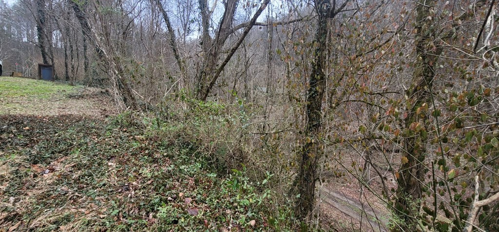 0 Newman Road Gatlinburg, TN 37738 - Photo 11 of 12