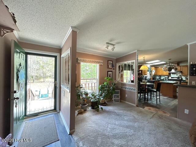 127 Rojay Lane Richlands, NC 28574 - Photo 26 of 100 IMG_8259