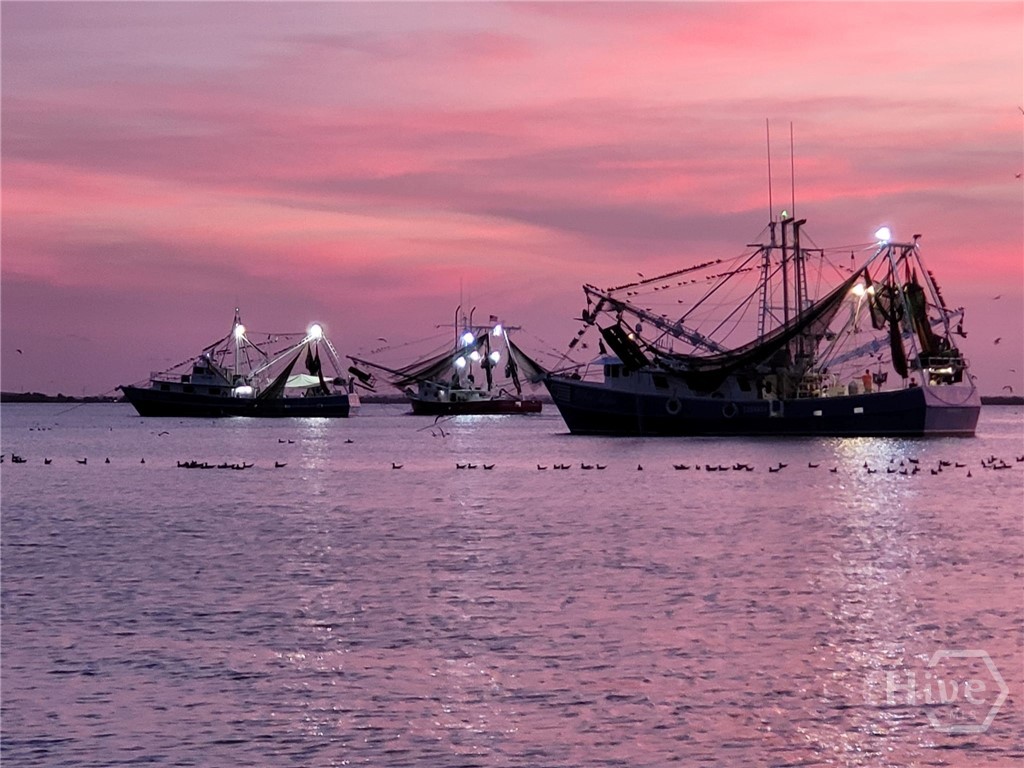 40 Captains View Tybee Island, GA 31328 - Photo 50 of 64 Shrimp boats at sunset from private access to beach