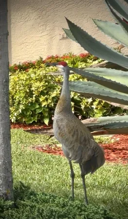 $4,200 | 9391 Bridgeport Drive, West Palm Beach, FL 33411