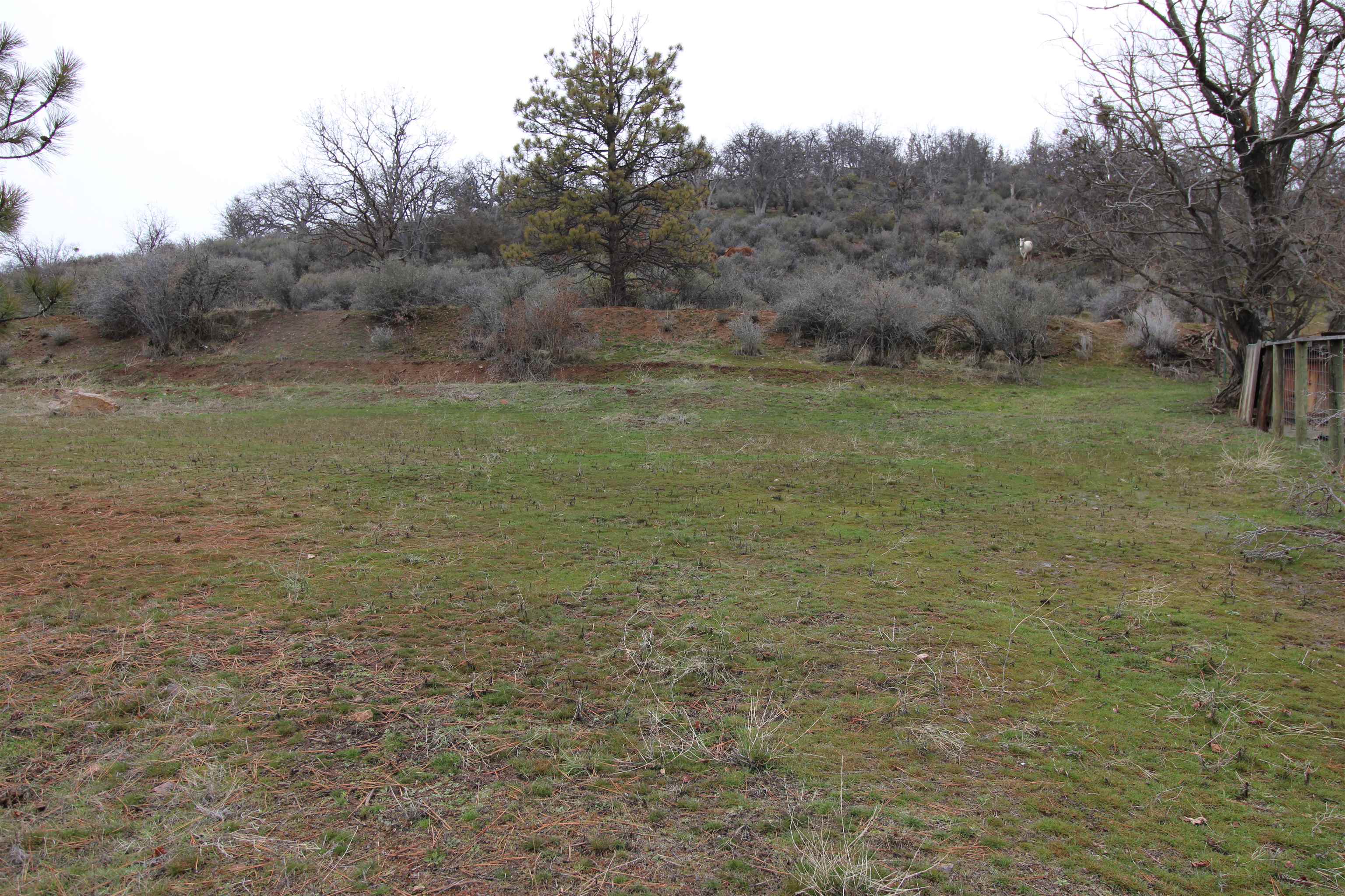 7204 Quartz Valley Road Fort Jones, CA 96032 - Photo 16 of 45 Gallery Image 16