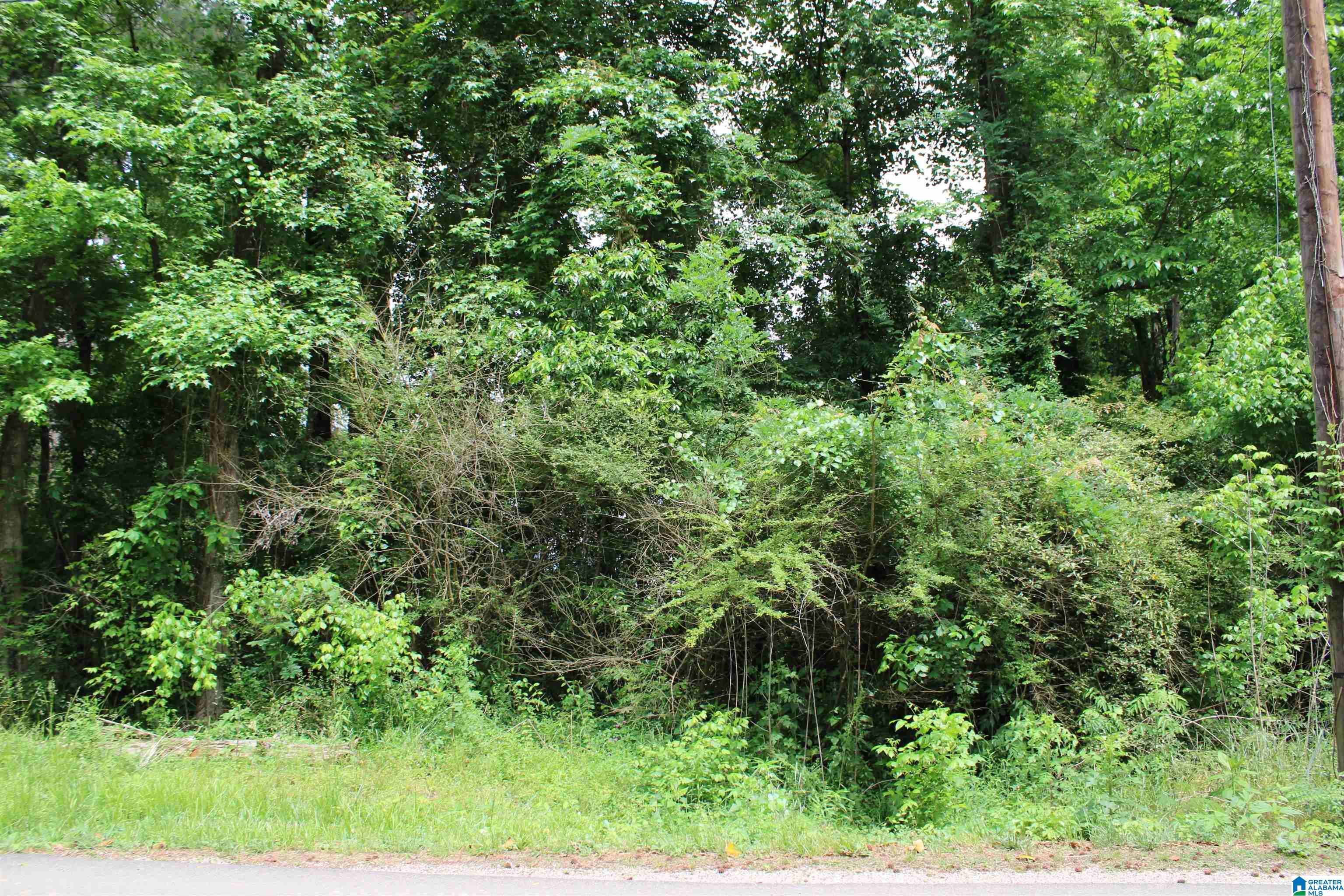 0 Wooten Road, Unit 100 Alabaster, AL 35007 - Photo 4 of 5