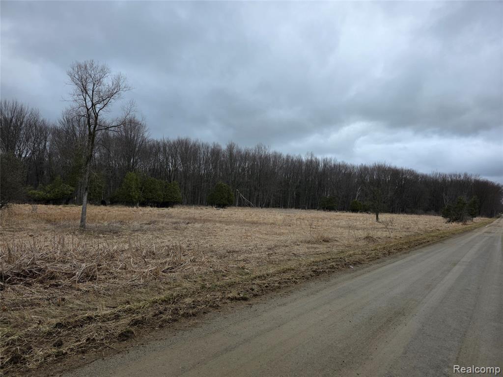 0 Martus Road Lapeer, MI 48446 - Photo 9 of 19