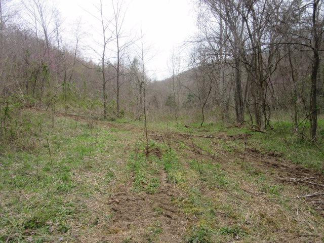11111 Chestnut Flat Road McKee, KY 40447 - Photo 2 of 9 Photo 2