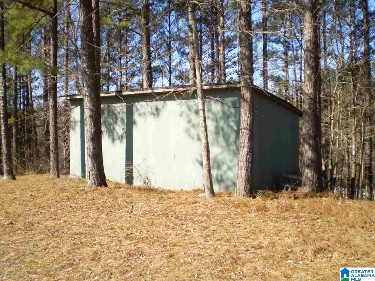 170 Pine Ridge Lane, Unit TRACT A Pell City, AL 35125 - Photo 4 of 15