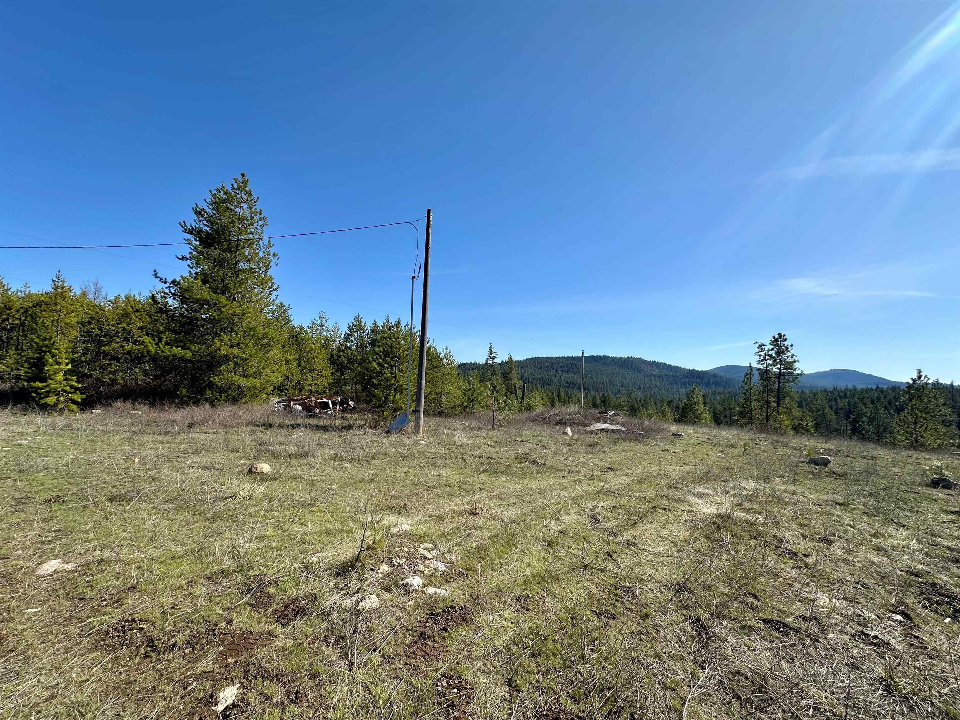 1101 Scotia Road Newport, WA 99156 - Photo 2 of 20