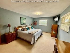 500 Spring Street Ripley, WV 25271 - Photo 24 of 50 Gallery Image 24