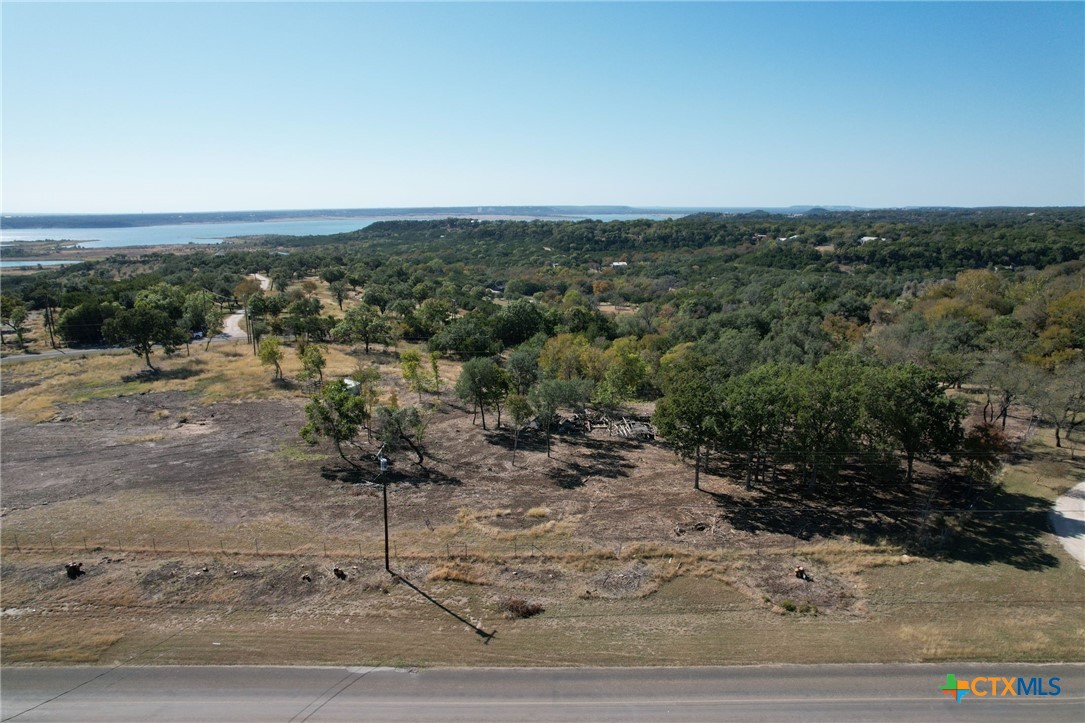 a view of a dry yard with trees