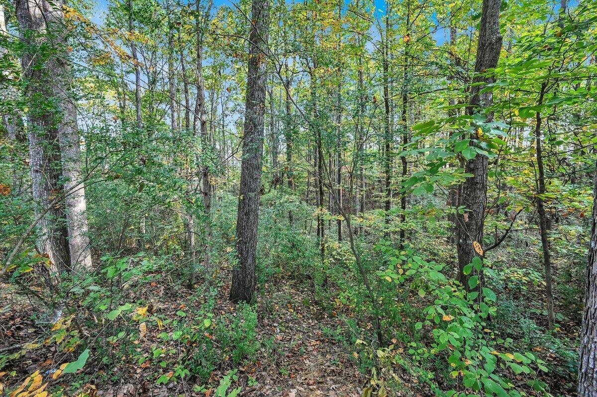 34569 Highway 278 Addison, AL 35540 - Photo 10 of 11 Gallery Image 10