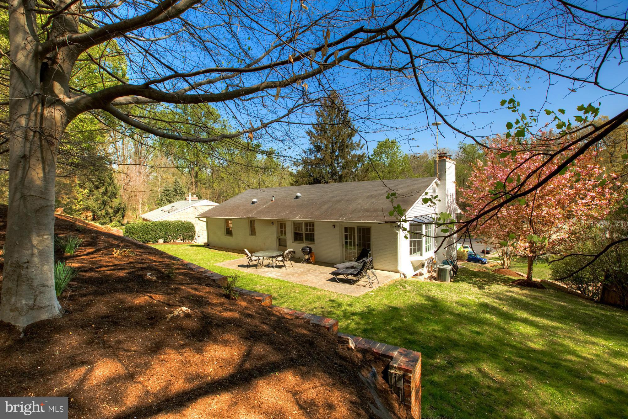 4118 27th Road North Arlington, VA 22207 - Photo 11 of 30 Exterior (Rear)