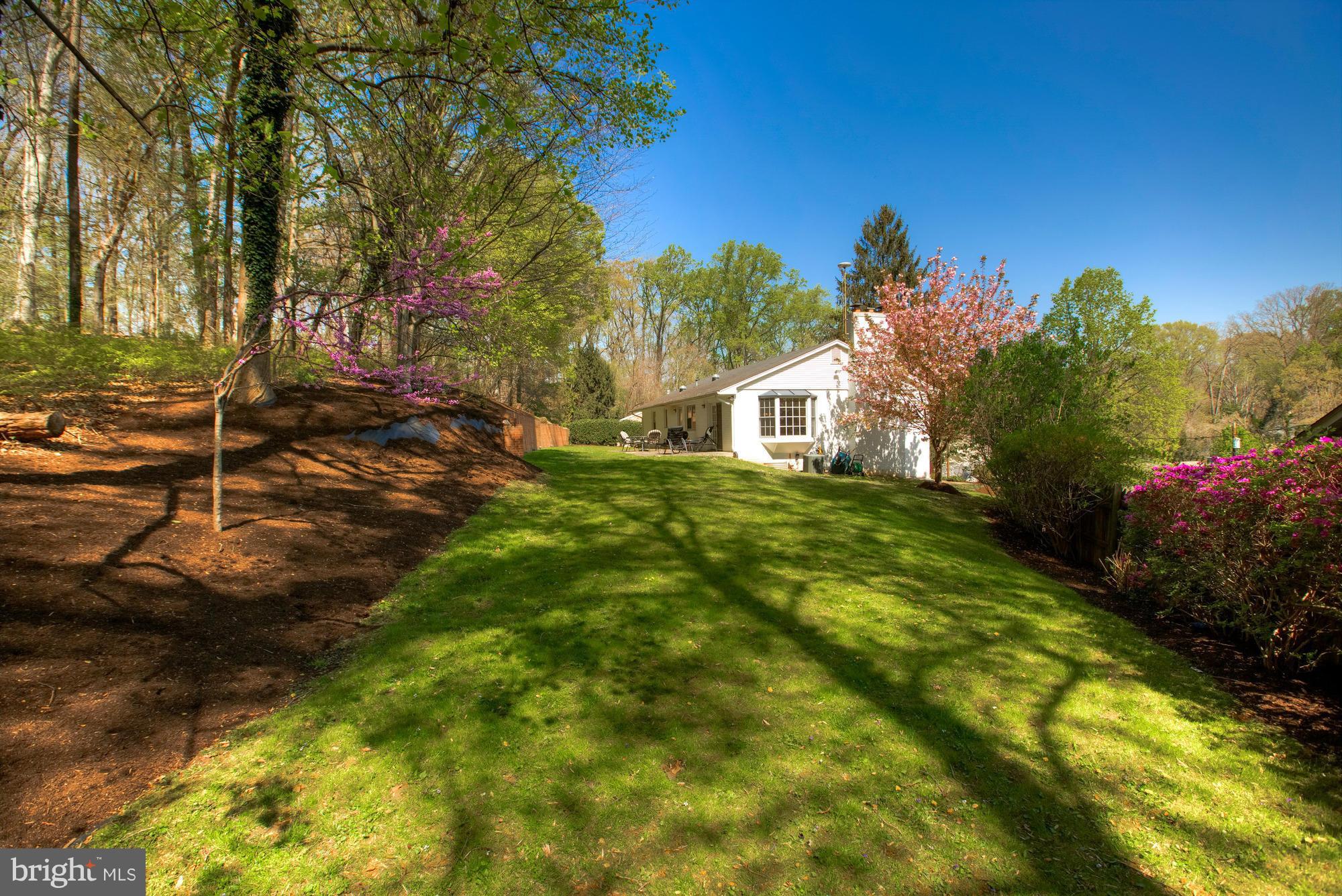 4118 27th Road North Arlington, VA 22207 - Photo 10 of 30 Exterior (Rear)