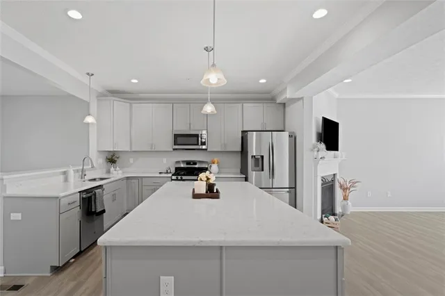 a kitchen with stainless steel appliances a sink a stove a refrigerator cabinets and a counter top space