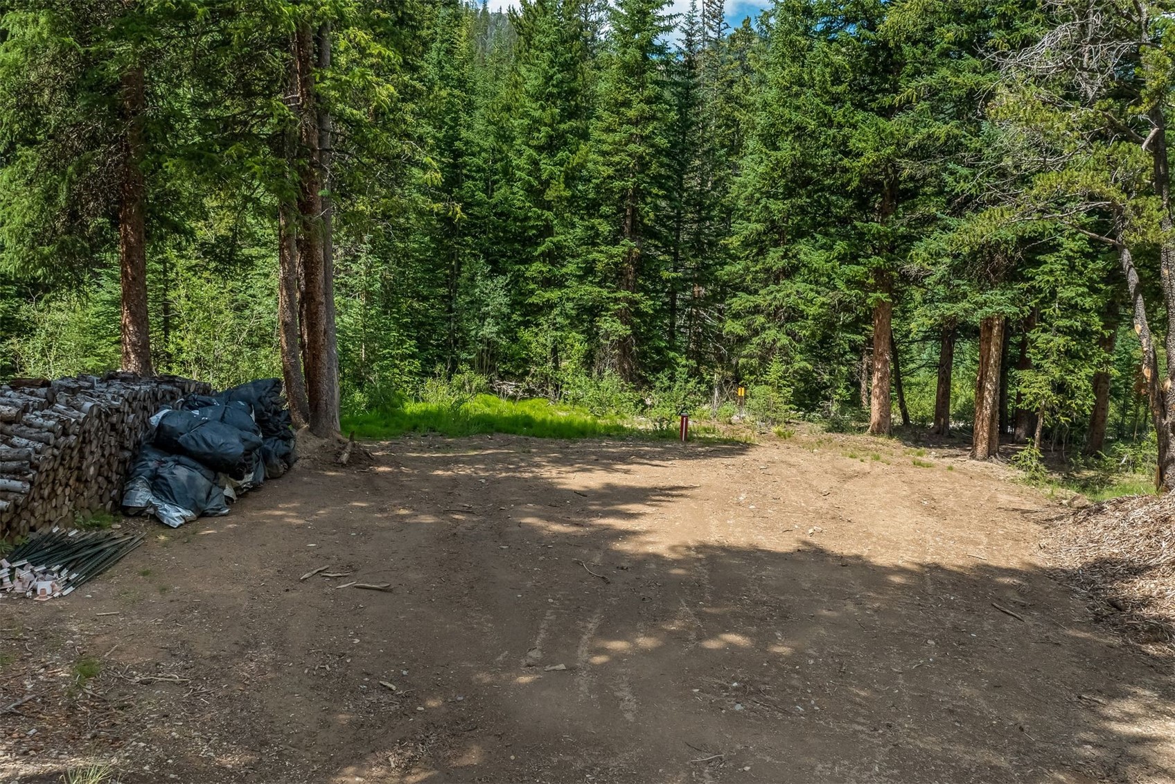 5400 Montezuma Road Montezuma, CO 80435 - Photo 19 of 31 a view of a yard with plants and trees