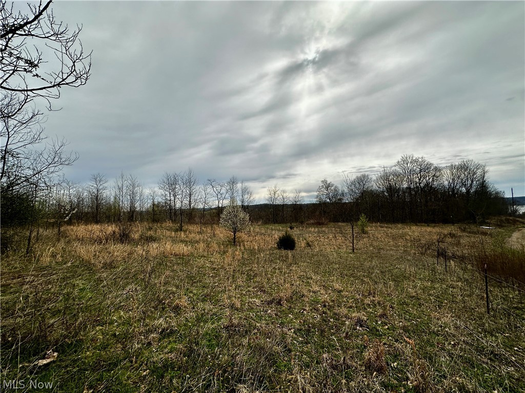 35840 Swan Road Long Bottom, OH 45743 - Photo 13 of 23