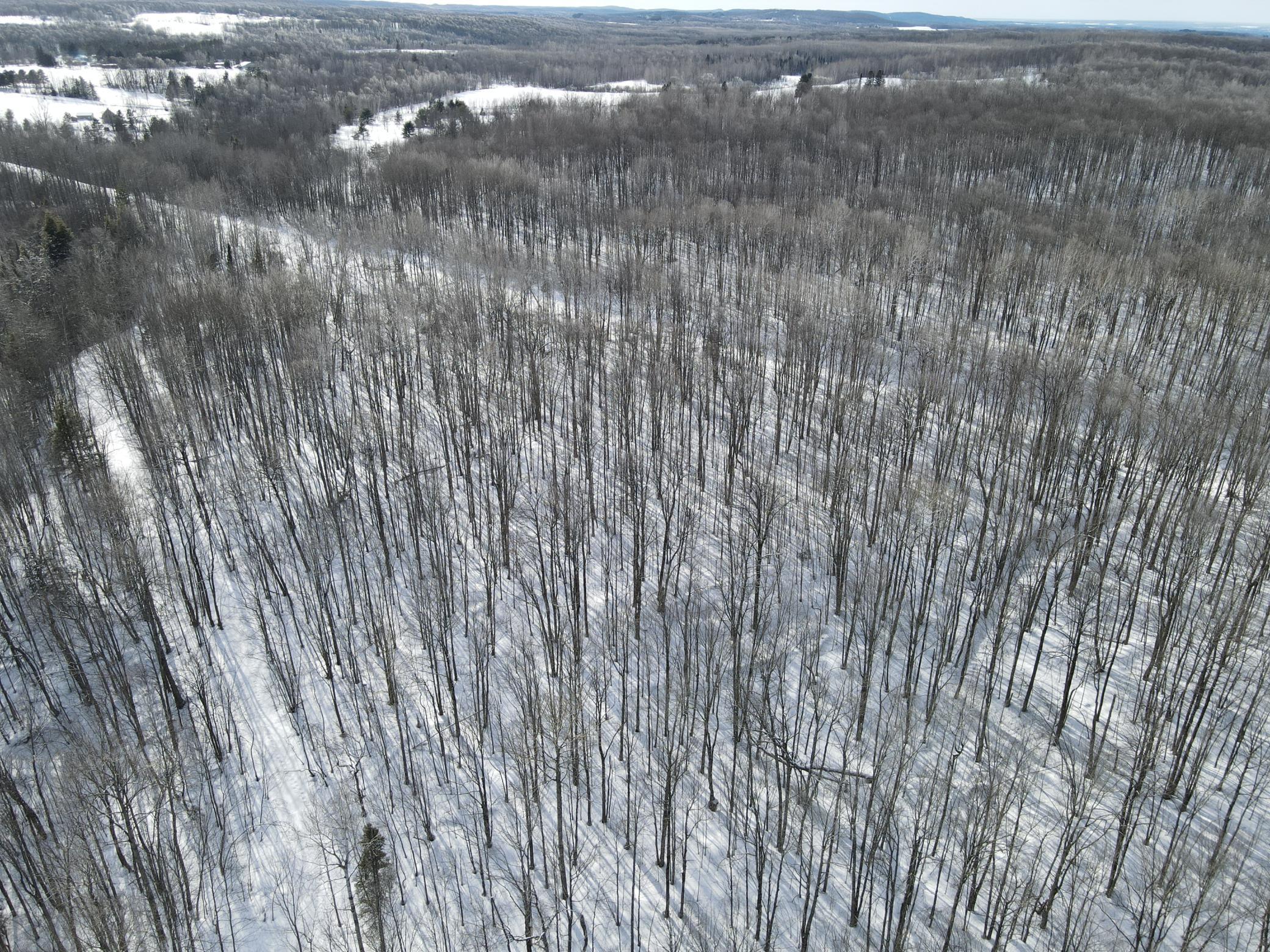 Tbd Golf Course Road High Bridge, WI 54846 - Photo 16 of 18