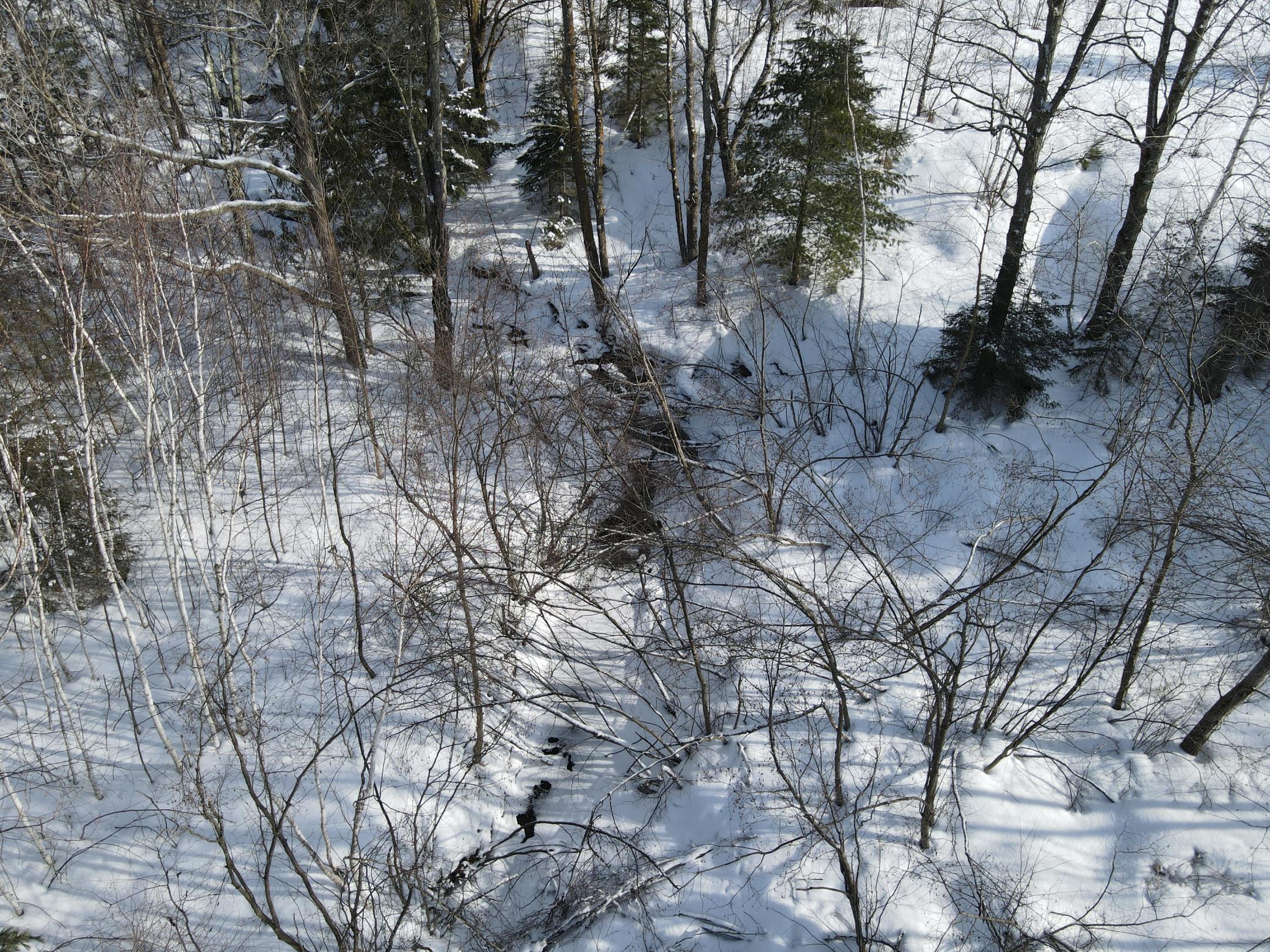 Tbd Golf Course Road High Bridge, WI 54846 - Photo 18 of 18