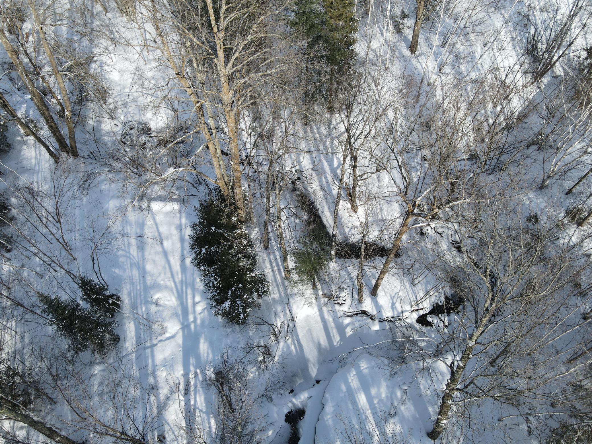 Tbd Golf Course Road High Bridge, WI 54846 - Photo 4 of 18