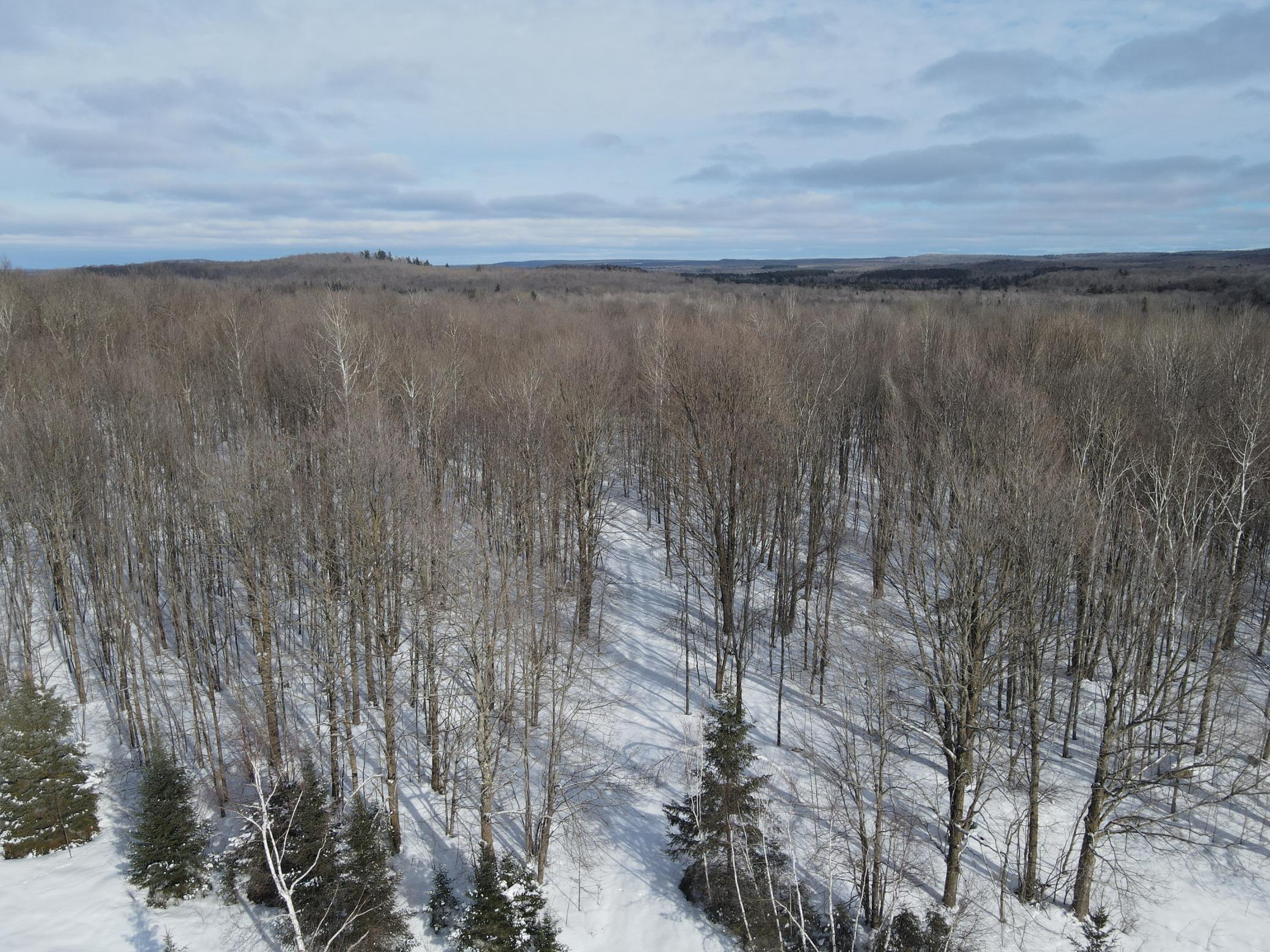 Tbd Golf Course Road High Bridge, WI 54846 - Photo 5 of 18