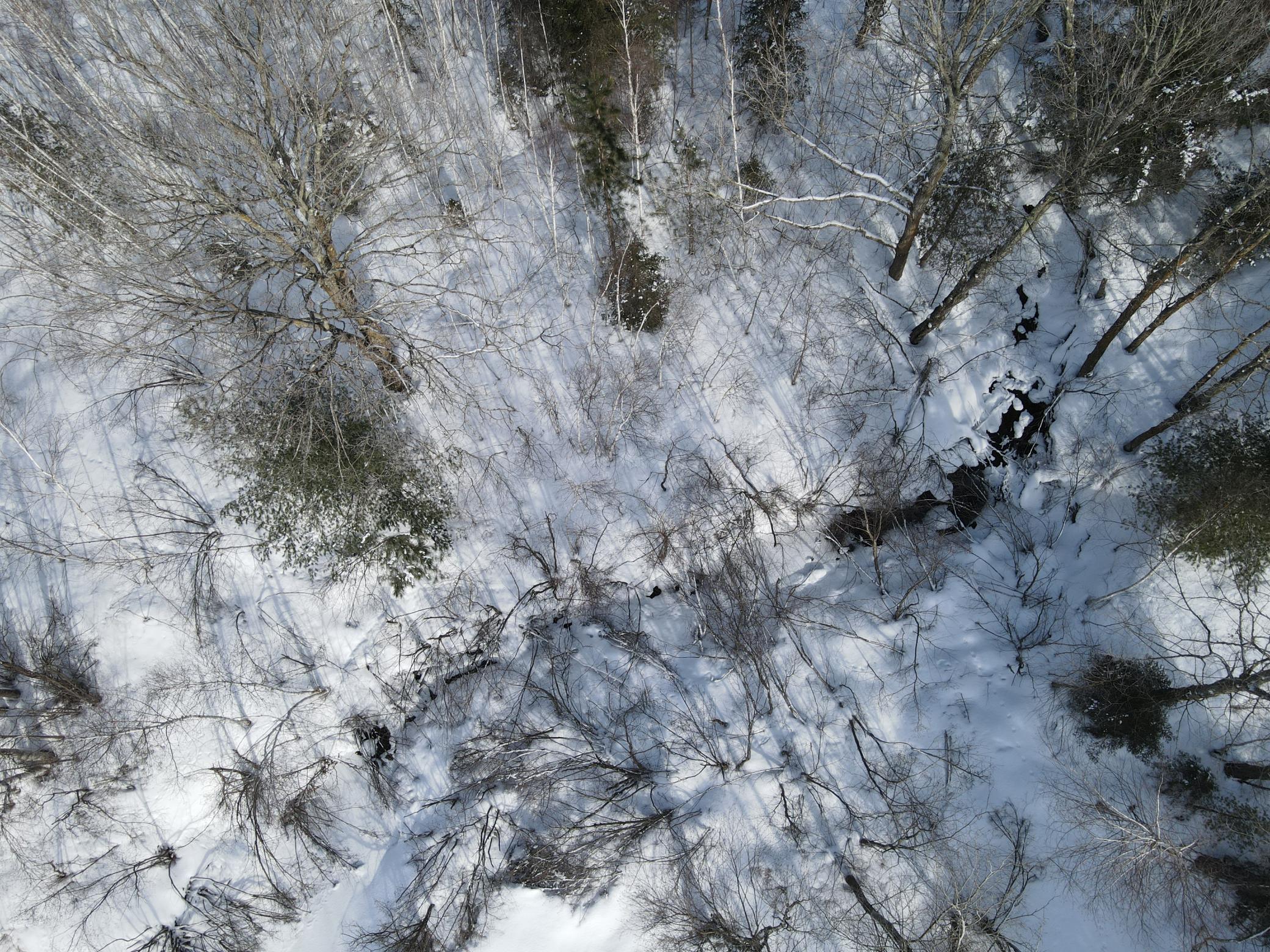 Tbd Golf Course Road High Bridge, WI 54846 - Photo 8 of 18