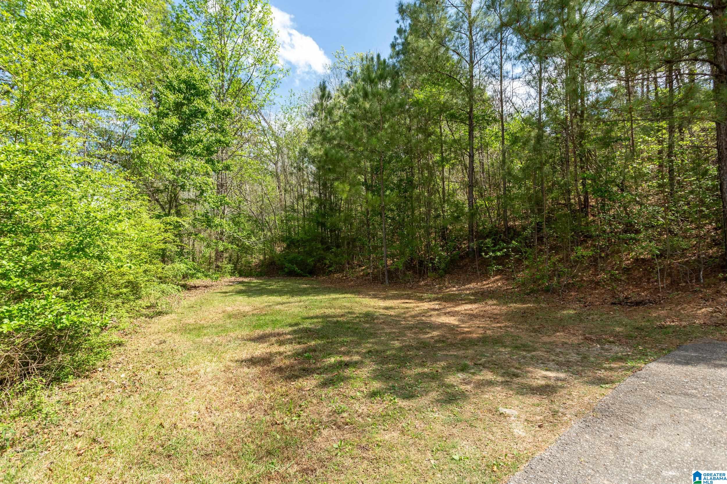 143 Dark Hollow Road Ohatchee, AL 36271 - Photo 31 of 39 Gallery Image 31