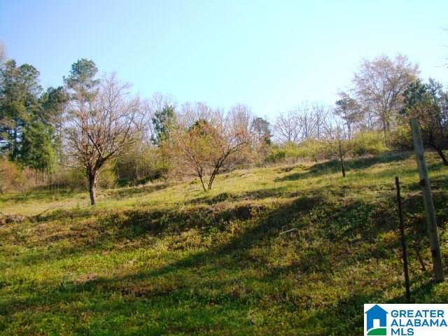 678 Old Sulphur Springs Road, Unit 2 Wellington, AL 36279 - Photo 8 of 11