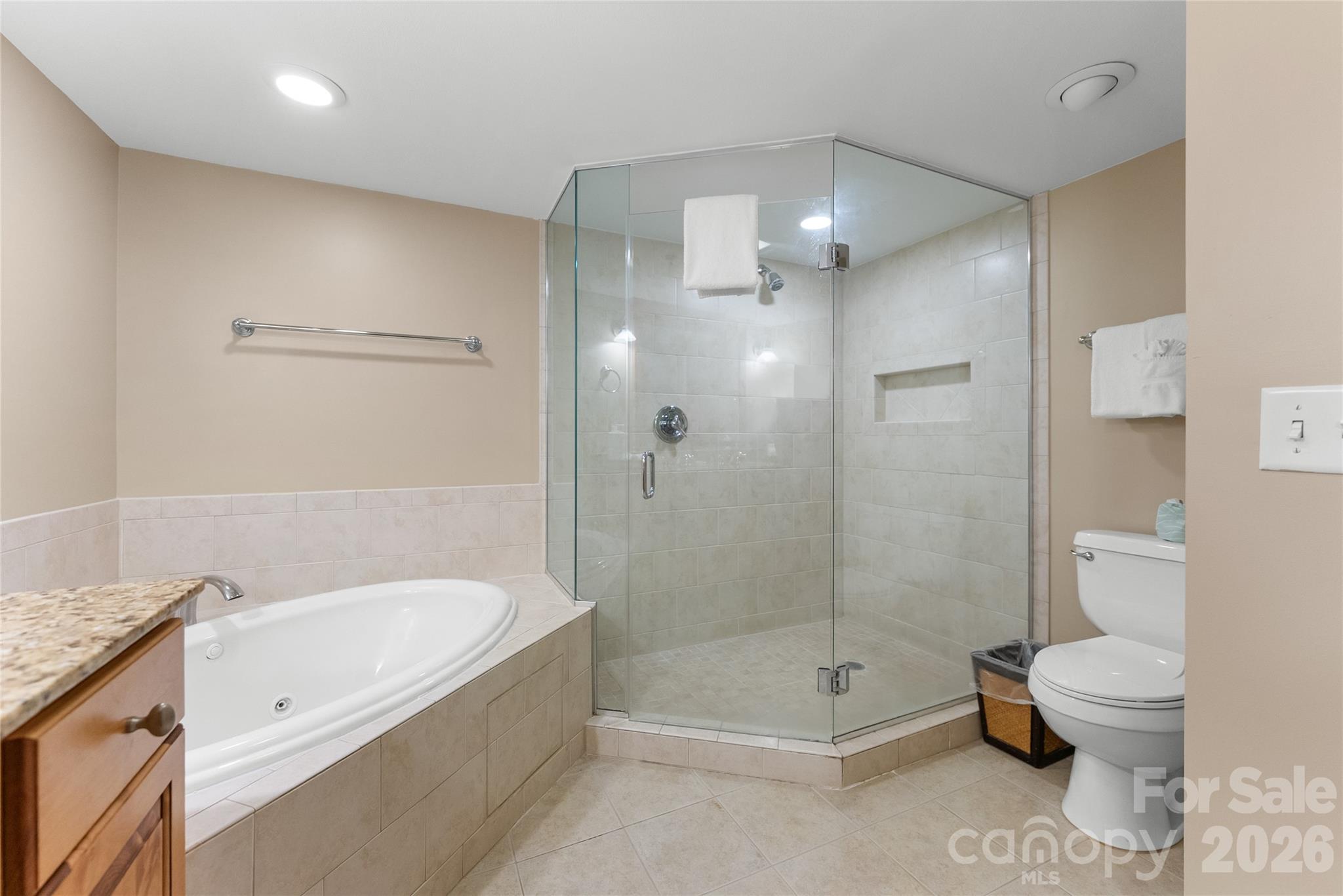 314 Bowling Park Road, Unit 314 Asheville, NC 28803 - Photo 9 of 29