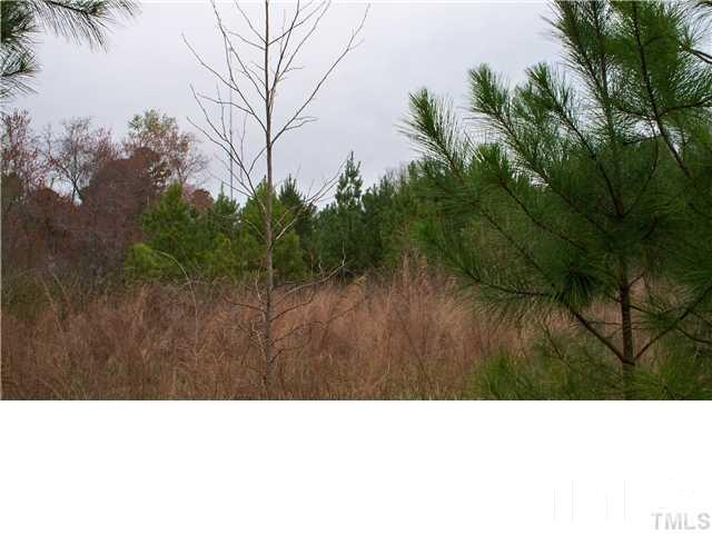 2 Old Watkins Road, Unit TRACT 2 Henderson, NC 27537 - Photo 1 of 5 Gallery Image 1
