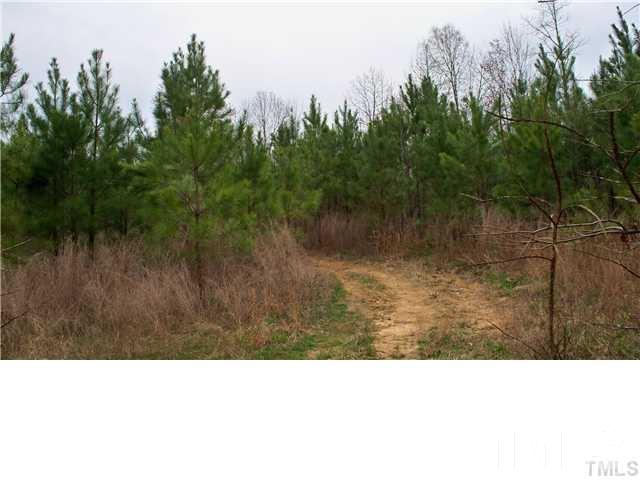 2 Old Watkins Road, Unit TRACT 2 Henderson, NC 27537 - Photo 3 of 5 Gallery Image 3