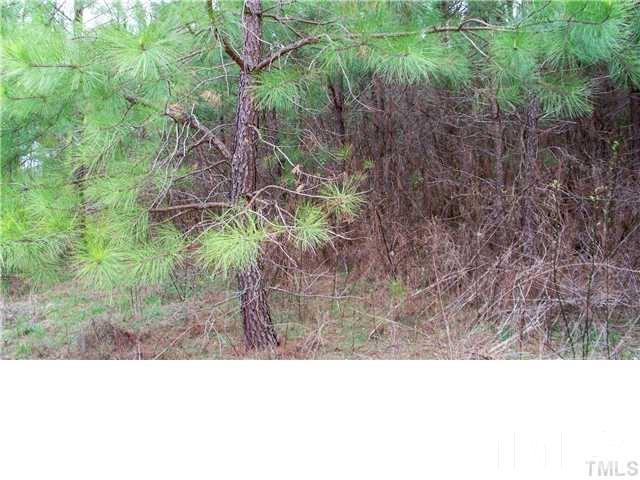 2 Old Watkins Road, Unit TRACT 2 Henderson, NC 27537 - Photo 5 of 5 Gallery Image 5