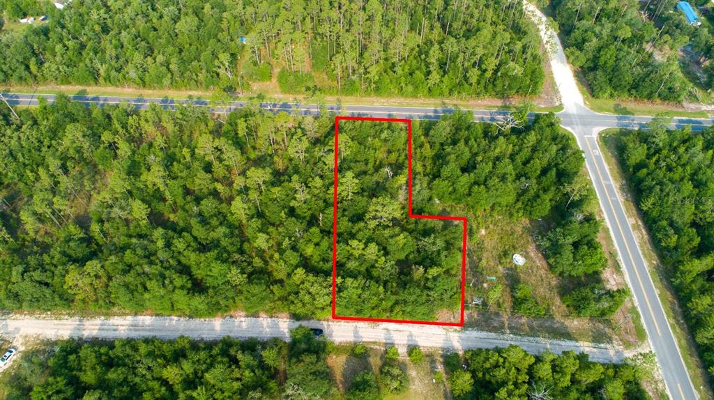 Northwest Lakeview Road Altha, FL 32421 - Photo 11 of 14