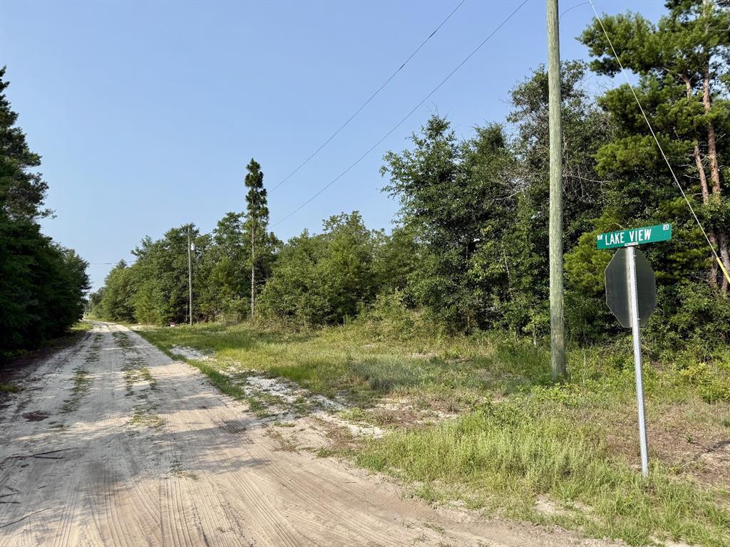 Northwest Lakeview Road Altha, FL 32421 - Photo 12 of 14