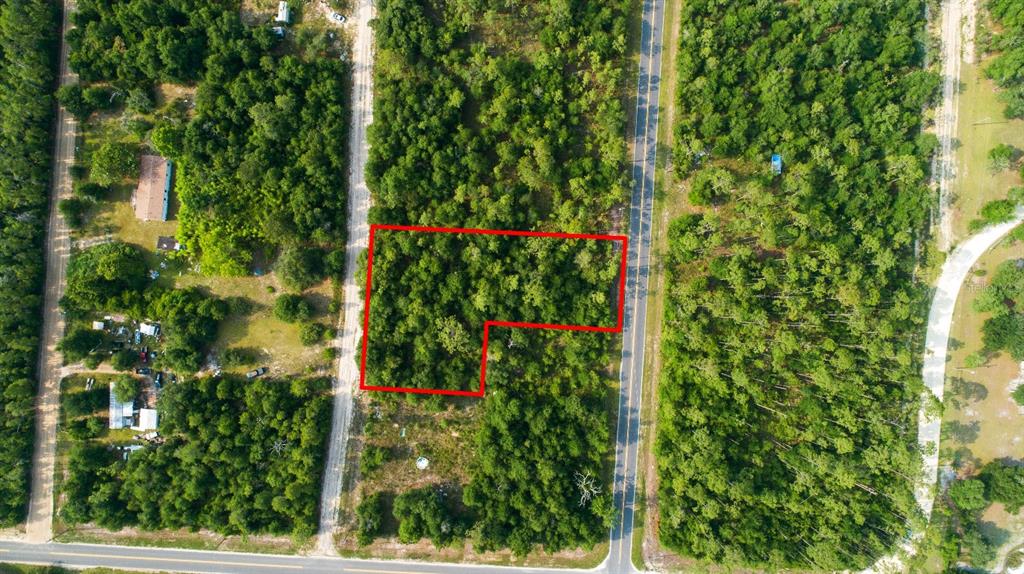 Northwest Lakeview Road Altha, FL 32421 - Photo 7 of 14