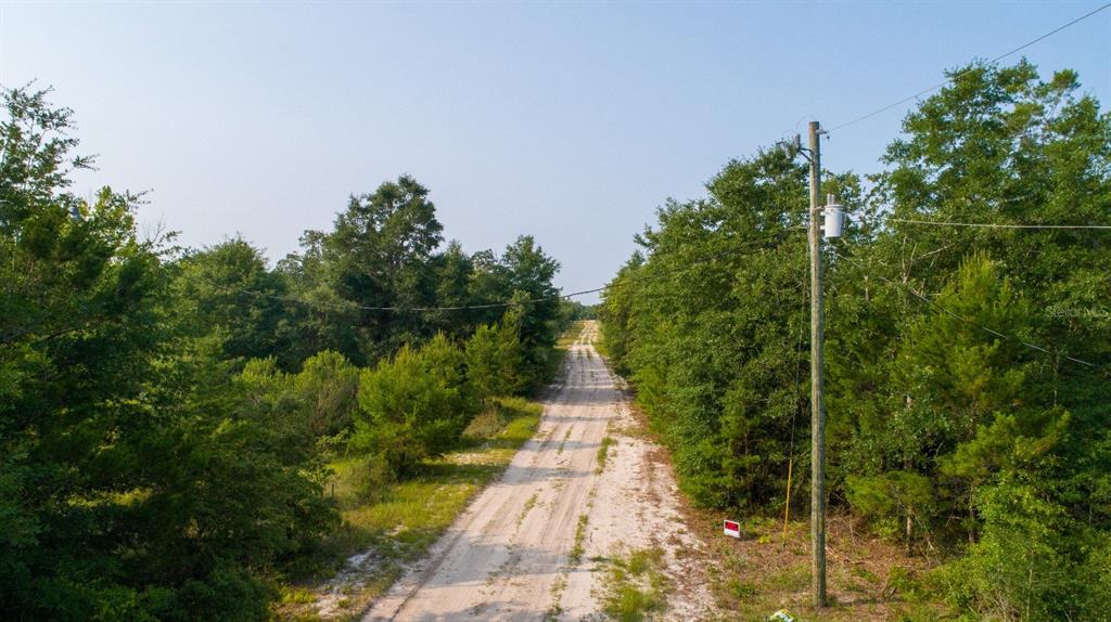 Northwest Lakeview Road Altha, FL 32421 - Photo 9 of 14