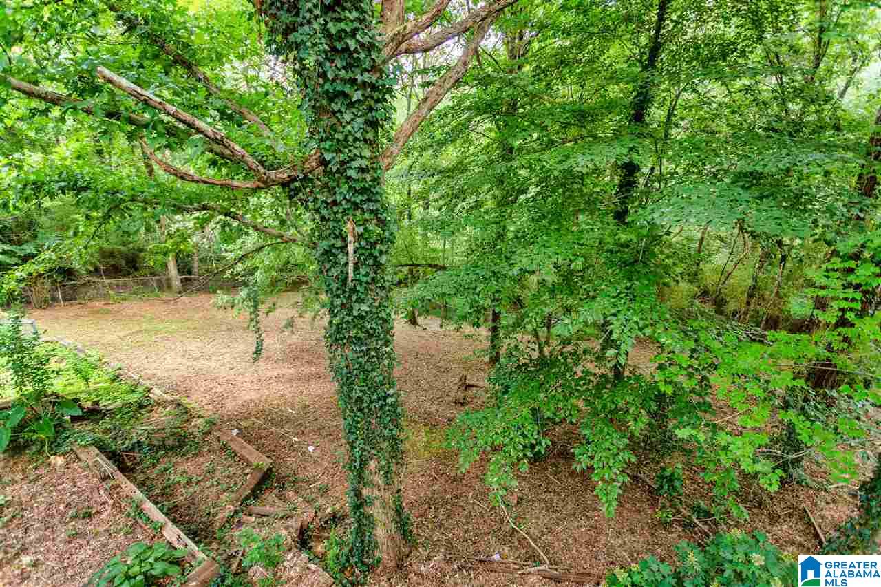4329 Palisades Road Birmingham, AL 35210 - Photo 15 of 50