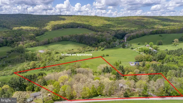 a view of a bunch of trees and bushes