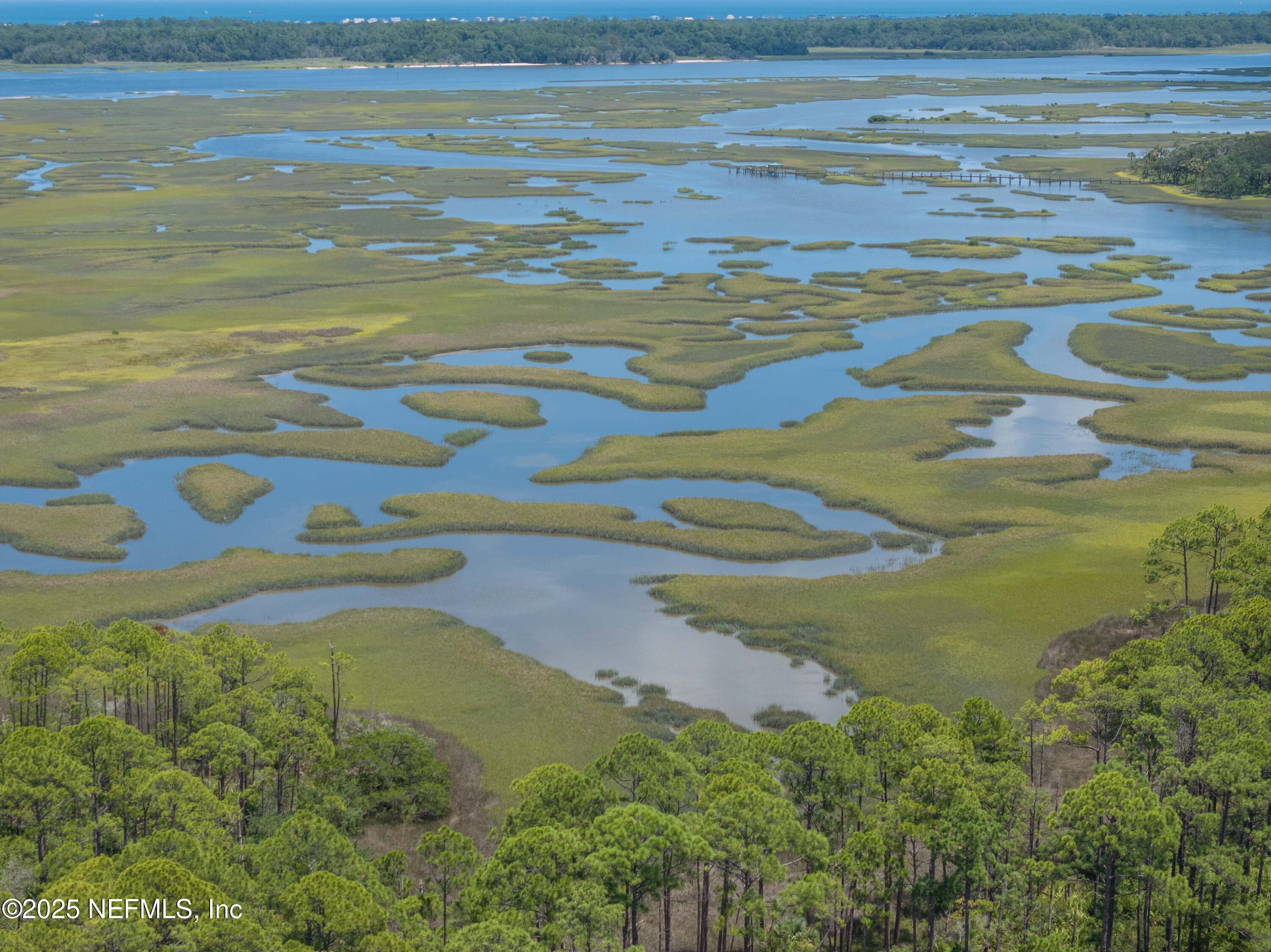 117 Hickory Hill Drive St. Augustine, FL 32095 - Photo 130 of 142 49-DJI_20250802012825_0356_D