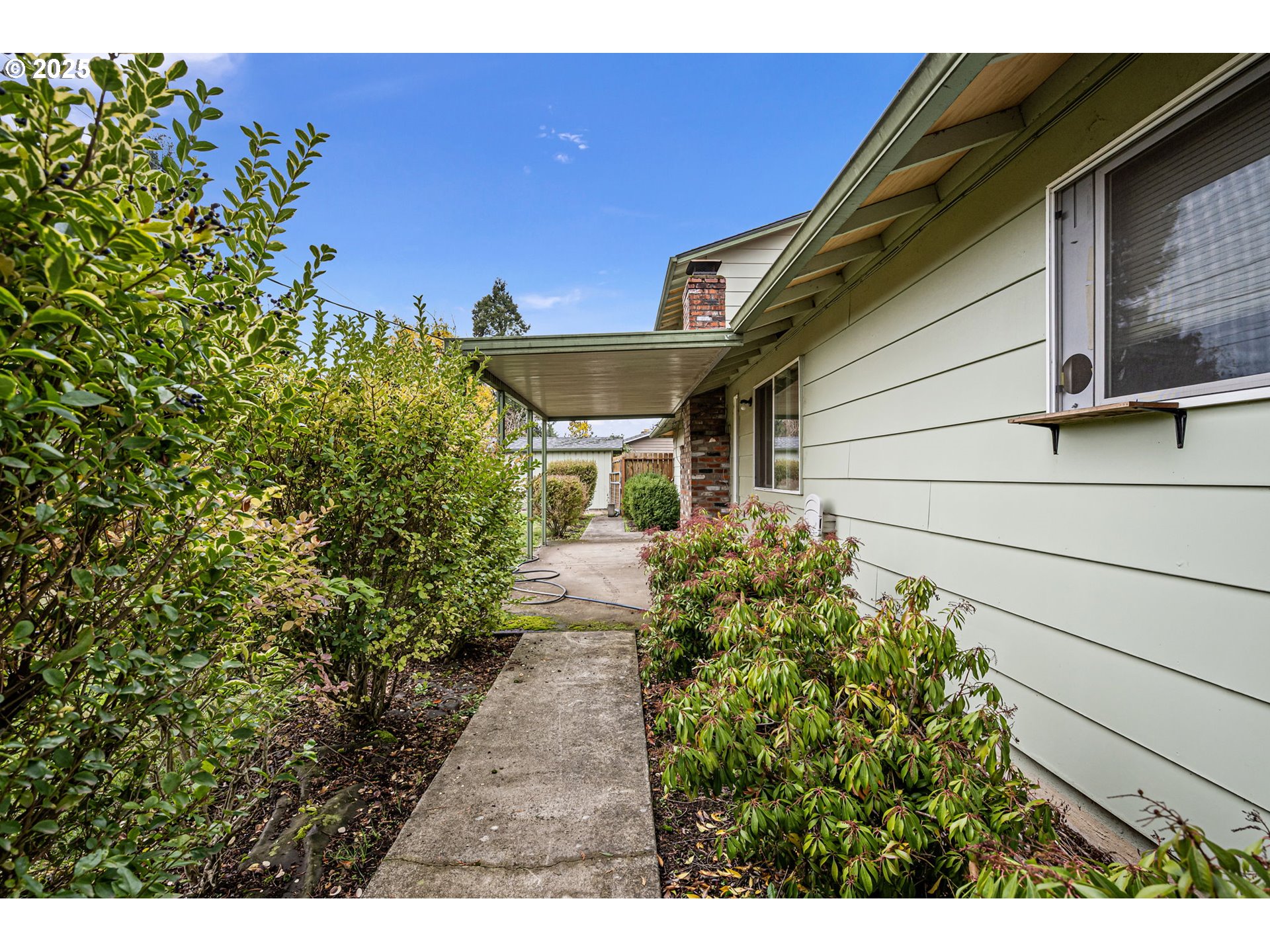 1429 Delrose Avenue Springfield, OR 97477 - Photo 16 of 21 a view of a backyard with plants