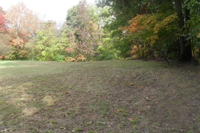 1462 Keesee Road Clarksville, TN 37040 - Photo 4 of 20 Large Yard