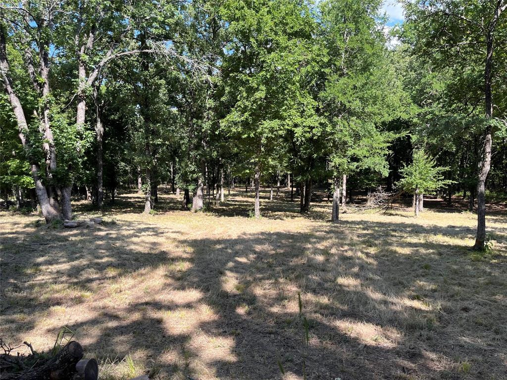 381 Ranchview Court Bowie, TX 76230 - Photo 4 of 7 Wooded acreage featuring mature trees and a partially cleared understory