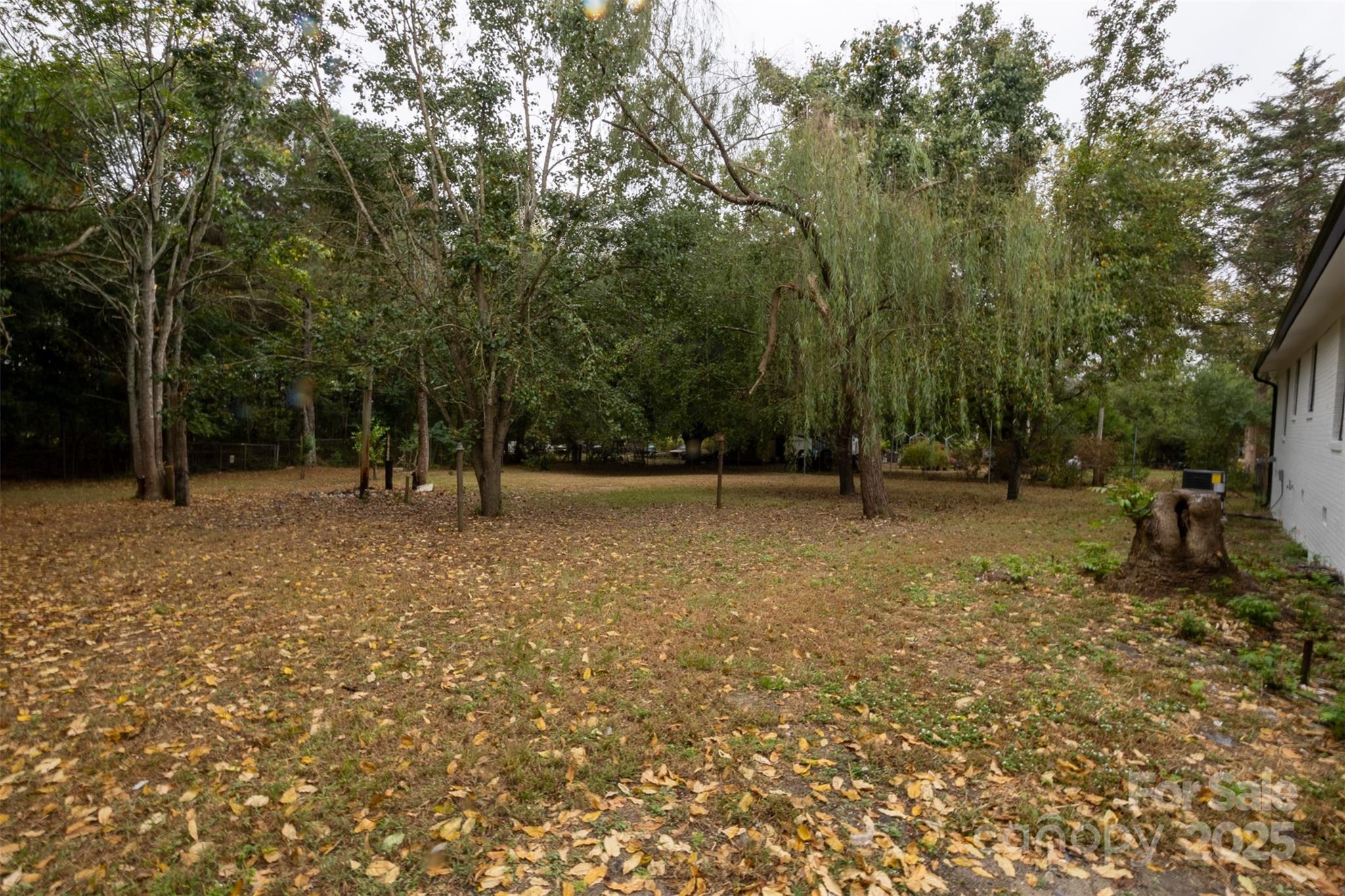 427 Green Lake Road Ellerbe, NC 28338 - Photo 19 of 21 Gallery Image 19