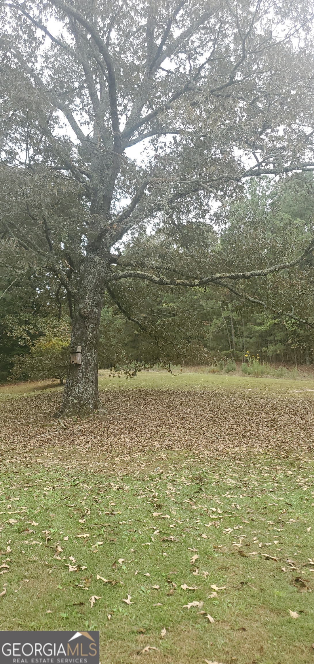 384 Enon Grove Road Franklin, GA 30217 - Photo 101 of 132