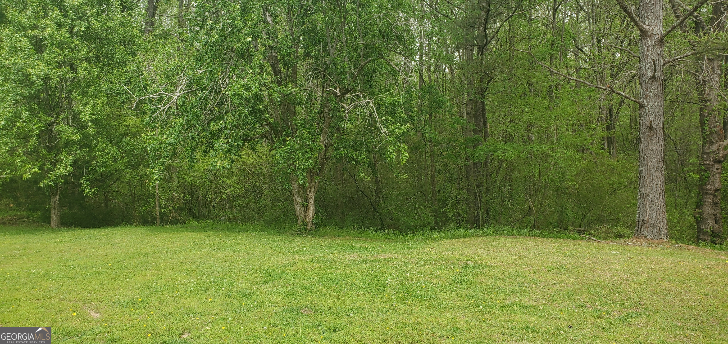 384 Enon Grove Road Franklin, GA 30217 - Photo 102 of 132