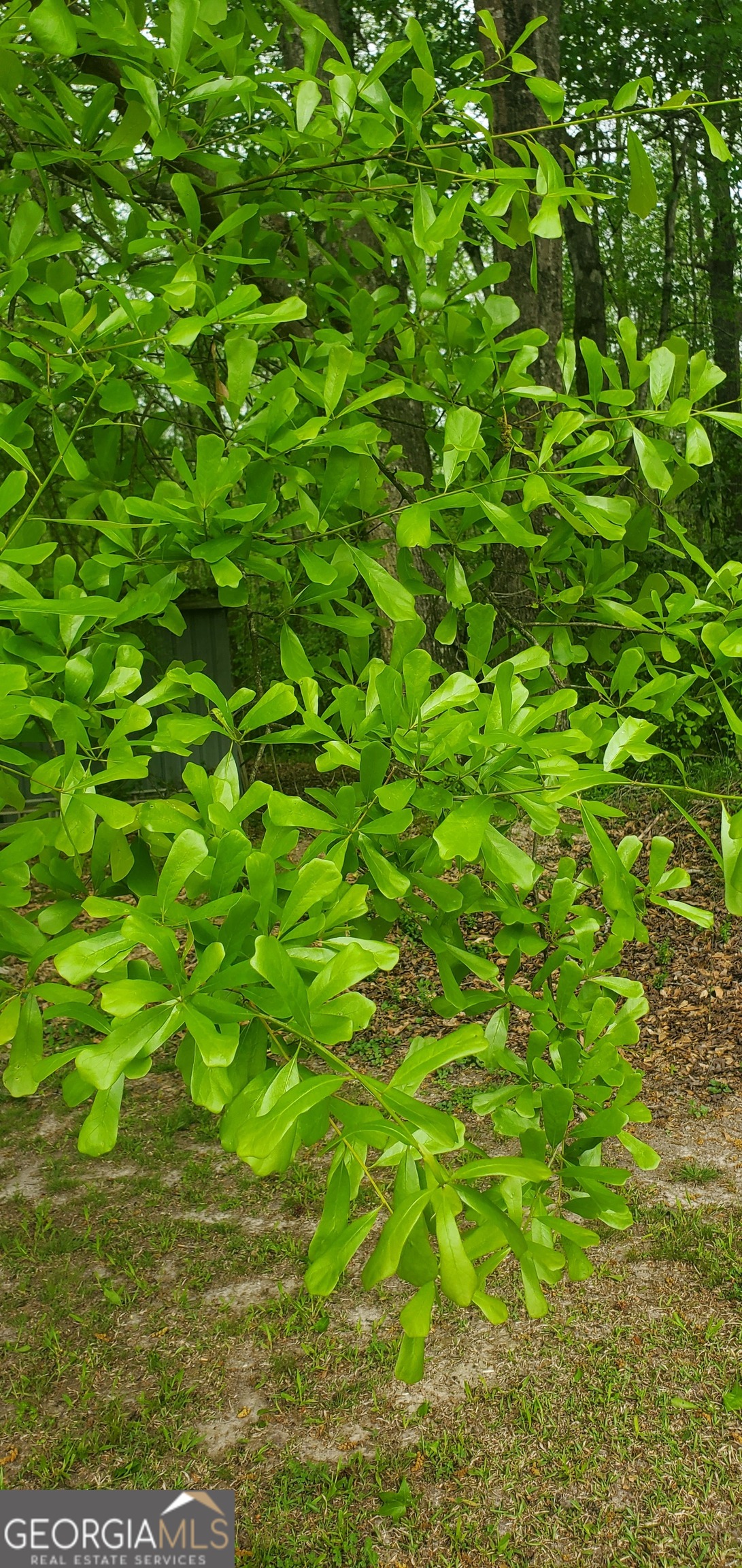 384 Enon Grove Road Franklin, GA 30217 - Photo 107 of 132