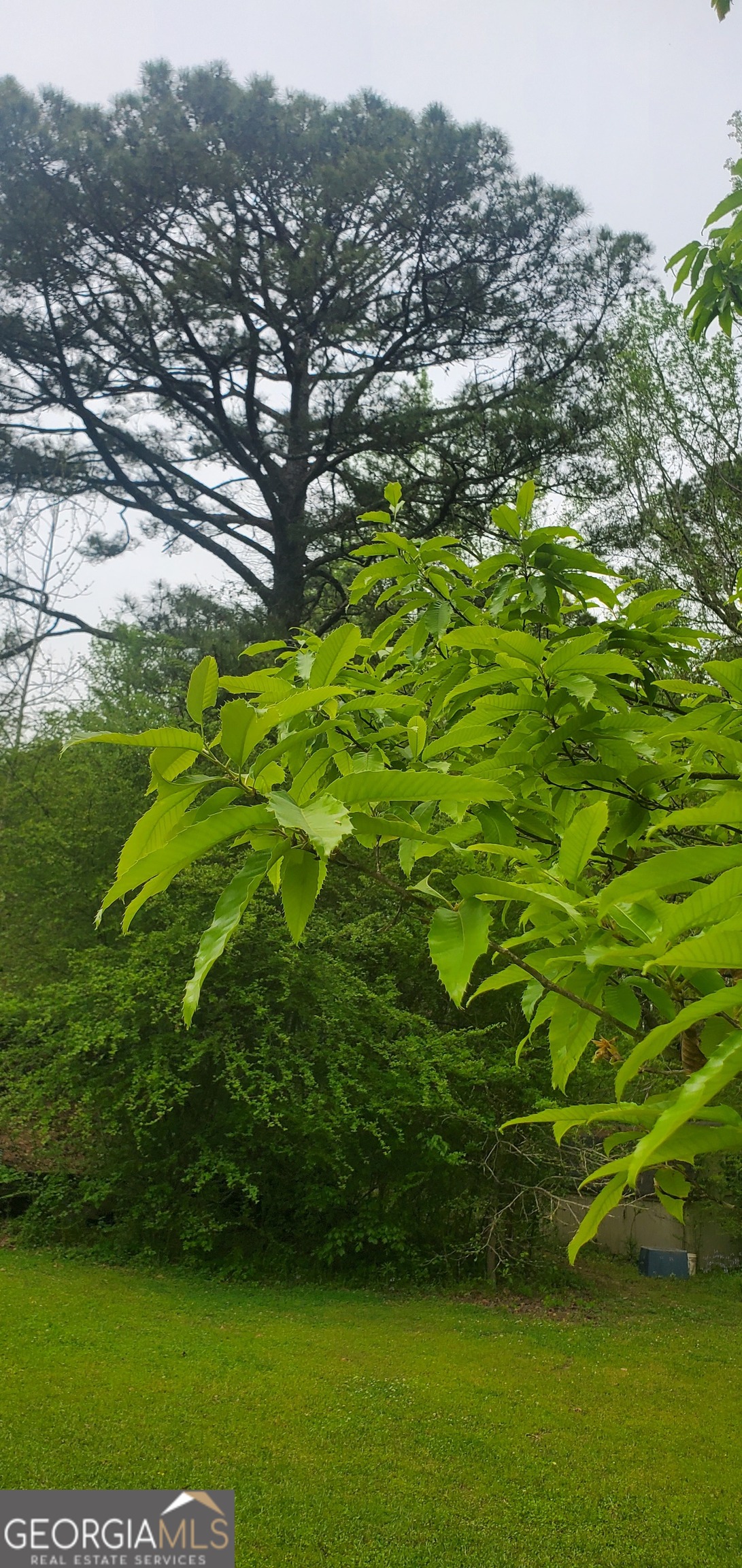 384 Enon Grove Road Franklin, GA 30217 - Photo 108 of 132