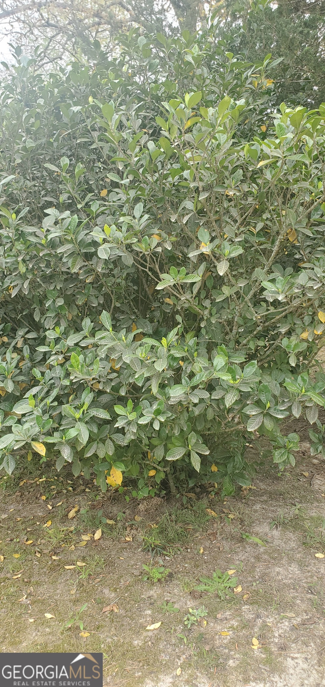 384 Enon Grove Road Franklin, GA 30217 - Photo 110 of 132