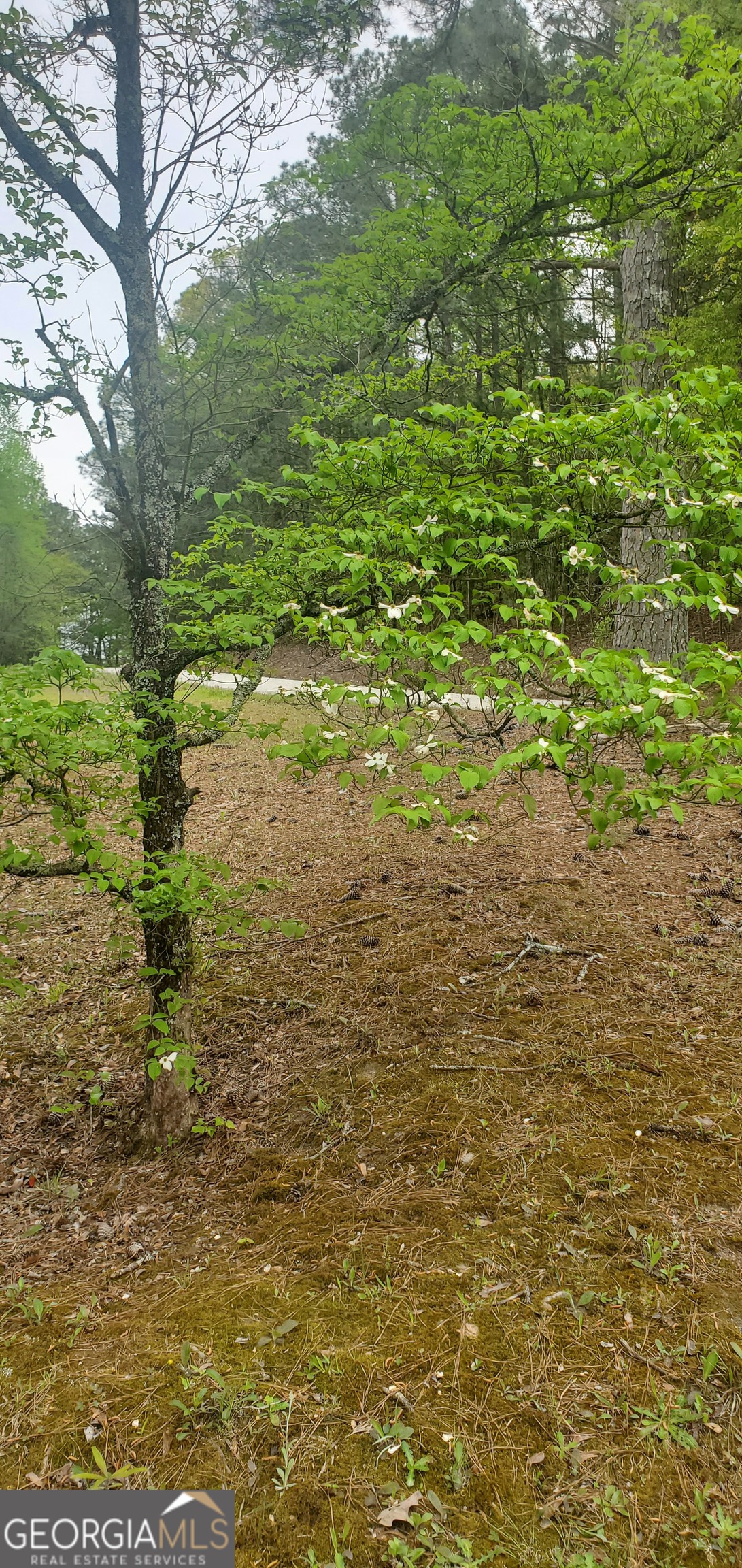 384 Enon Grove Road Franklin, GA 30217 - Photo 111 of 132