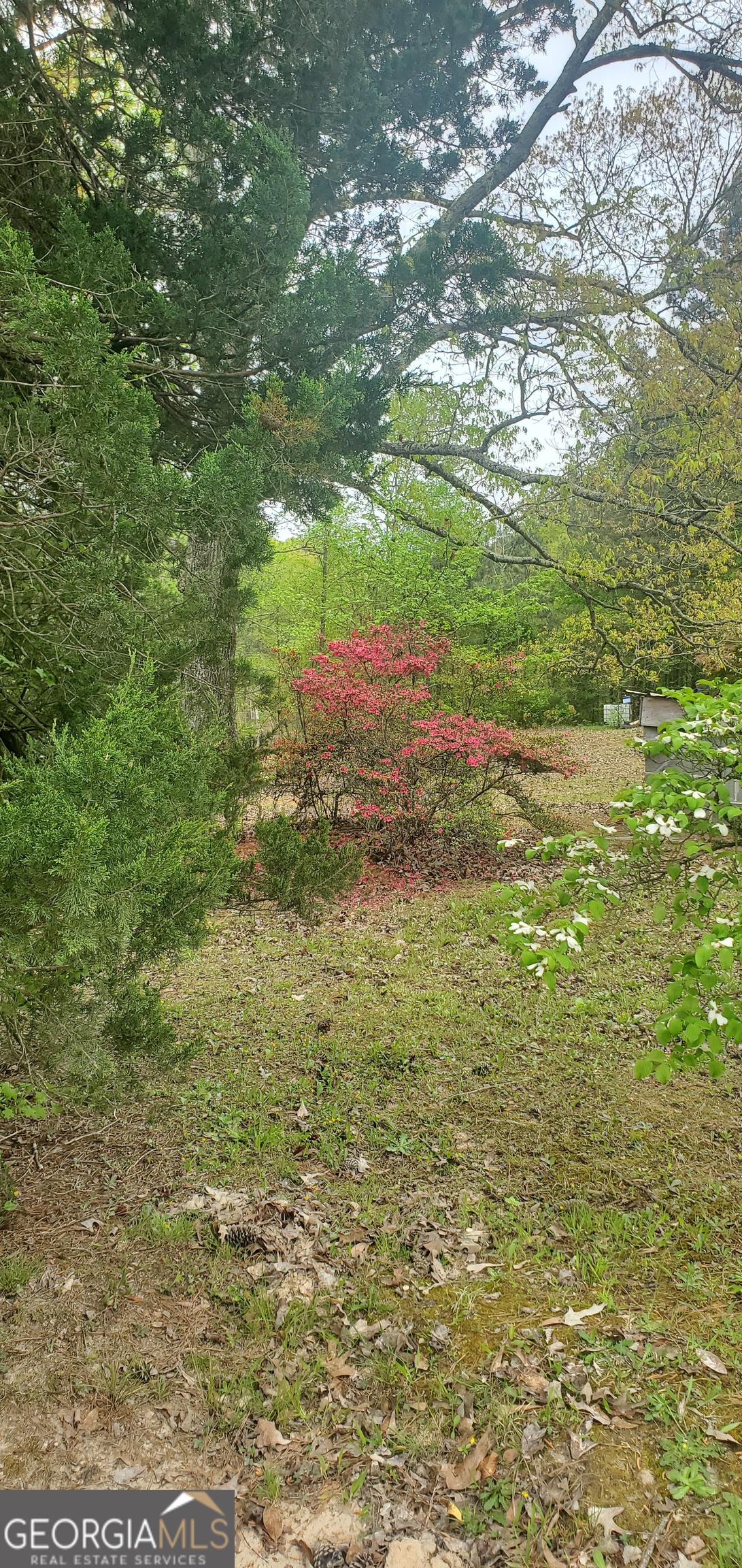 384 Enon Grove Road Franklin, GA 30217 - Photo 112 of 132