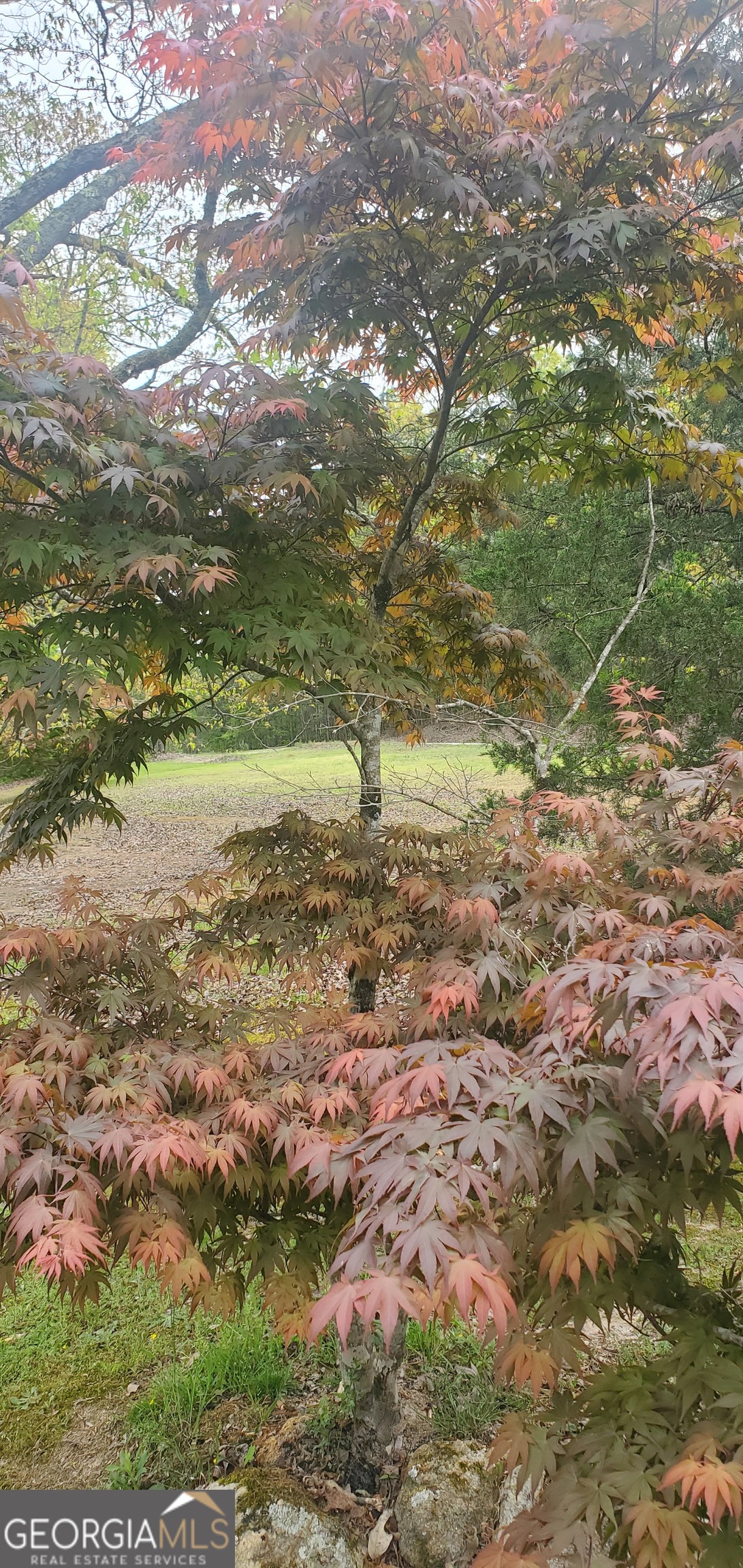 384 Enon Grove Road Franklin, GA 30217 - Photo 115 of 132